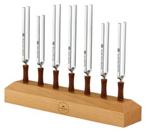 MEINL Sonic Energy TF-SET-CHA-7 Tuning Fork Set