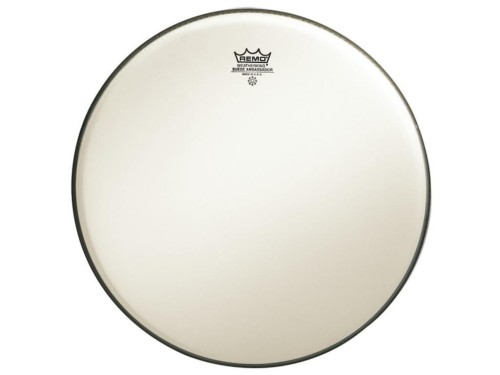 remo-br-1820-00-ambassador-suede-bass-20.jpg