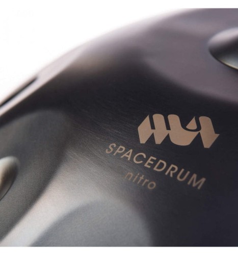 spacedrum-nitro-9-notes-celtic-dm_b2362197-06af-4bc6-b566-24e6edfe7251_655x700.jpg