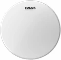 evans 2.webp