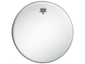 REMO Pre-International Ambassador Coated 12"