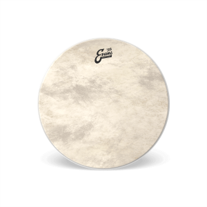 EVANS Calftone Bass 20"