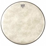 REMO Ambassador Fiberskyn Bass 22"