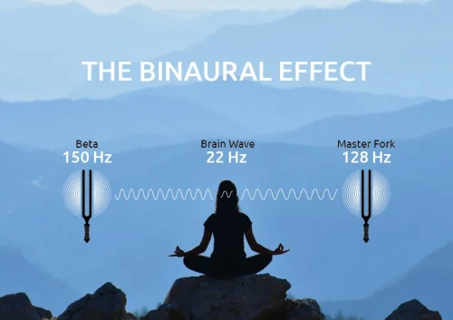 MEINL-Sonic-Energy-Binaural-Therapy-Tuning-Fork-Beta-150-Hz-TTF-BETA_2b19590_11zon.webp