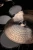 PAC18MC 2_11zon.webp
