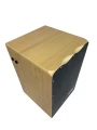CT-4PA-P (5).webp