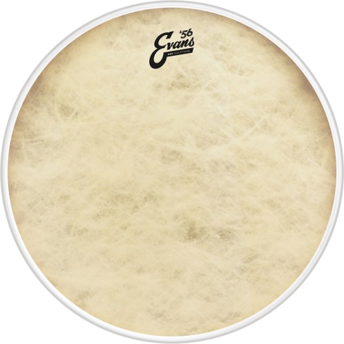 Evans-BD18GB4CT.jpg